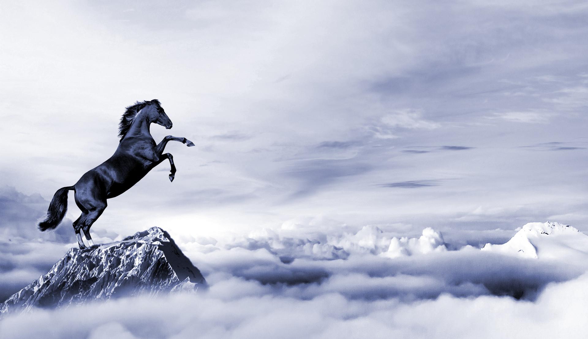 競爭戰略策劃之打造優秀產品應用標準三法