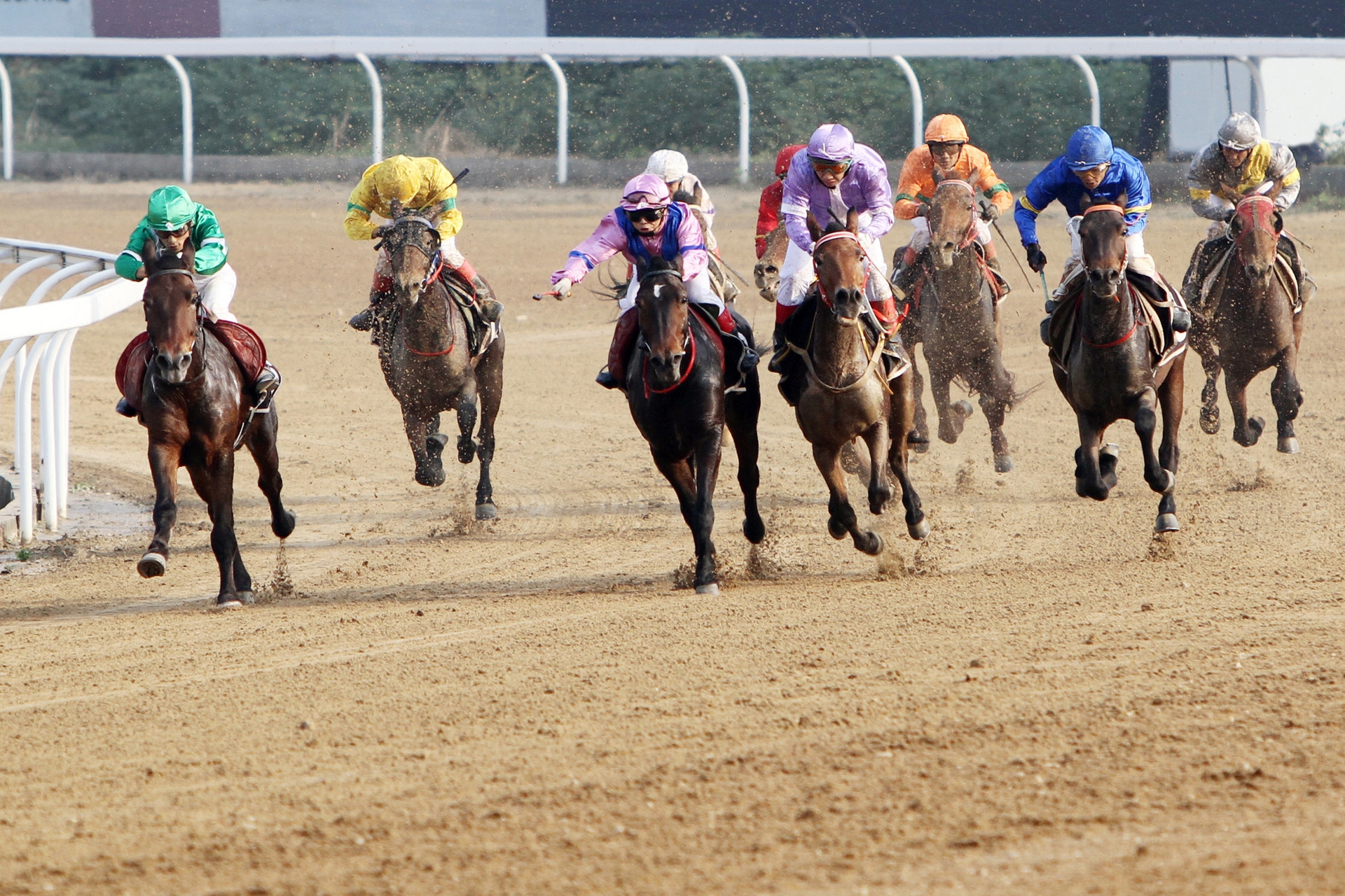 數字零售新增長之賽馬式增長三步